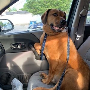 Meet your Posher, Kendra